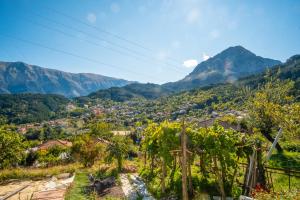 Remvi GUEST HOUSE Tzoumerka Greece