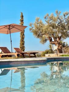 Sunny Place Resort Argolida Greece