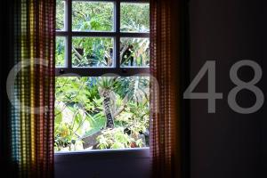 Beach House - Camburi