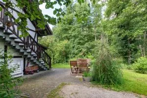 Gesundheitsoase - Kolonie