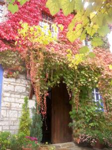 Saxonis Traditional Mansion Epirus Greece