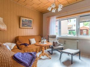 Cozy Apartment in Ilsenburg Harz near Ski Area