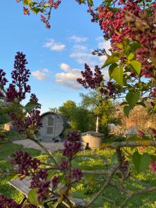 Skrunda Apartments Rustic