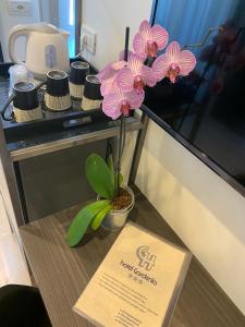 Hotel Gardenia