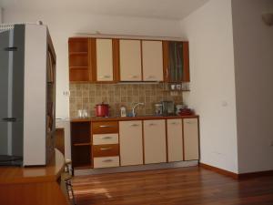 Olanesti Apartament