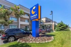 Comfort Suites Oakbrook Terrace near Oakbrook Center - 奥克布鲁克