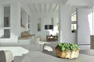 Presidential Paros Villa Villa Aethra Stunning Sea Views Petaloudes Paros Greece