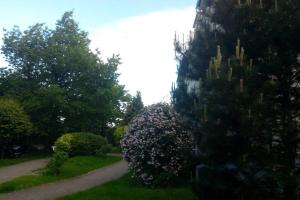 Apartament Gdańsk Centrum