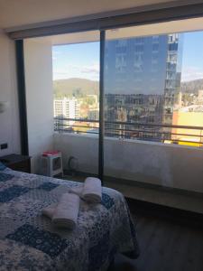 Departamento Freire 1062