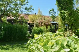 Maisons de vacances Chambres d'hotes, Gites La Petite Madeleine : photos des chambres