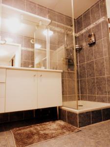 Appartements GITE LA HOUBLONNIERE STANDING et CONFORT a COLMAR : photos des chambres