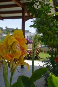 Anastasia Mare Studios Halkidiki Greece
