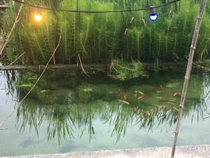 Studio à Deux au Blagour