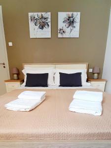 Ionian Citizen Apartment