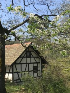 Appartements Logis Du Haut-Koenigsbourg : photos des chambres