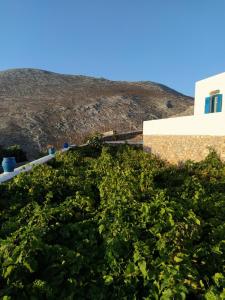 Cycladic houses in rural surrounding Amorgos Greece