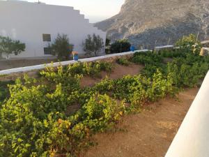 Cycladic houses in rural surrounding Amorgos Greece