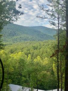 Mountain-top Cabin Get-away with Hot tub and a View