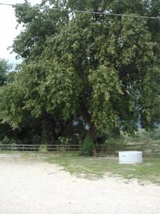 Agriturismo Varcodoro