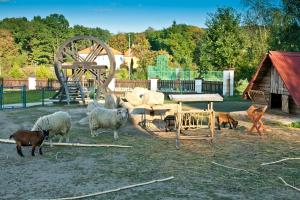 Penzion statek Bernard