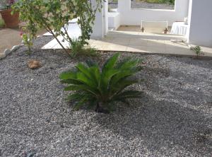 Nicholas Waves Beach Studios