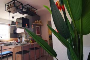 Appartements Appartement Premium, proche Faculte & Centre Ville ideal Digital Nomad : photos des chambres