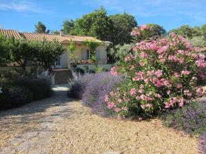 Appartements Studio Ideal for guaranteed special moments - by feelluxuryholidays : photos des chambres