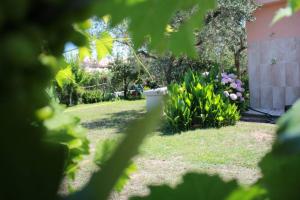 Villa di campagna vicino al mare img14