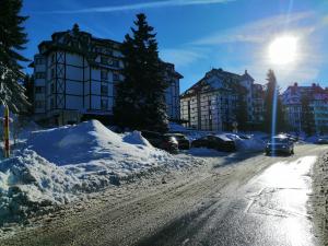 Apartment Lavina Kopaonik