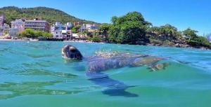 Apartamento centro Porto belo!!