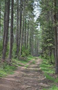 Terrasses de Malmedy Studio OSCAR 334 & Studio MARIA 330