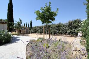 Villas Bastide la Marraine : photos des chambres