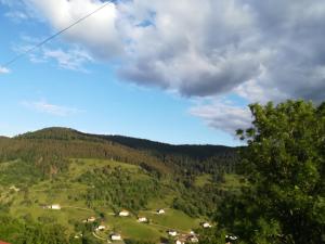 Le Petit Loft Vosgien