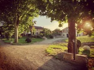 Domaine des Jammetous - Hotel and Yoga Retreat Center - Le Born