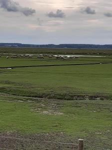 Appartements Les Obiones, Fort Mahon Plage, magnifique studio cabine 4p vue laterale mer avec balcon , parking prive gratuit, wifi, classe 2 etoiles, exposition plein sud en Baie de Somme : photos des chambres