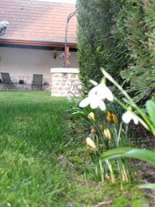 Hotels Hotel l'Oree Des Vignes : photos des chambres