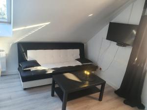 Domki caloroczne i apartamenty nad zalewem