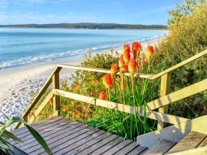 Elandra Hyams Beach