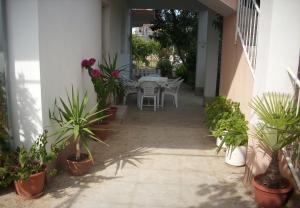 Apartments Slaven-50m from beach