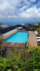 Les GREVILLEAS - Le Bras Creux