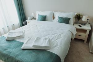 Apartment room in Pensiunea Green Horse