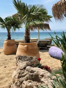 Byblos Mare-The Exclusive Beach Front Villa