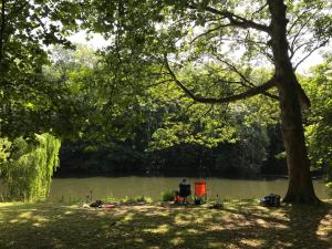 THE STUDIO MAIDENHEAD RIVERSIDE