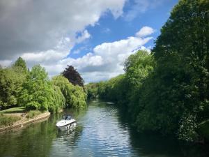 THE STUDIO MAIDENHEAD RIVERSIDE