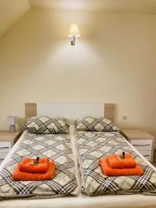 Janisz Gieczno - Głowno