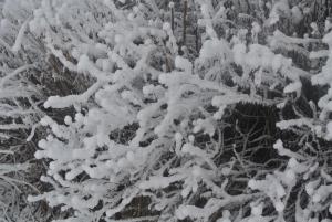 résidence Le Platé