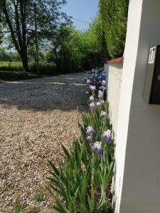 B&B / Chambres d'hotes L'Oree de Giverny : photos des chambres