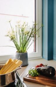 Rotes Haus Bregenz See Wohnung