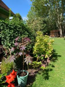 B&B / Chambres d'hotes L'Oree de Giverny : photos des chambres