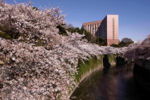 Four Seasons At Chinzan So hotel, 
Tokyo, Japan.
The photo picture quality can be
variable. We apologize if the
quality is of an unacceptable
level.